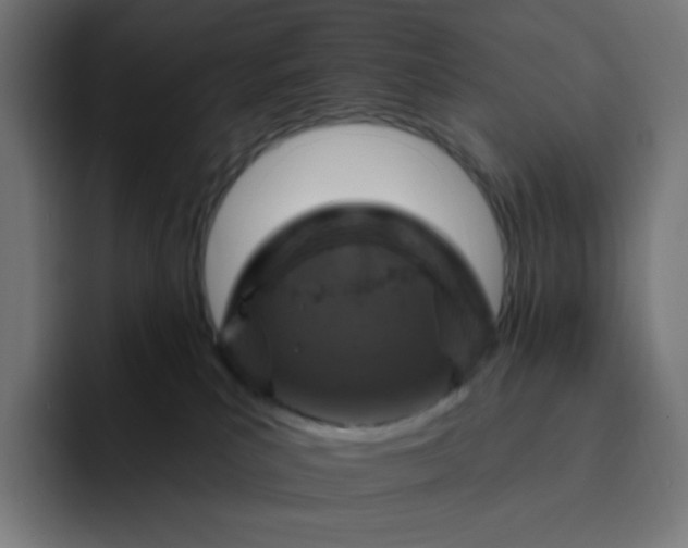 X0000093170039200710101220
