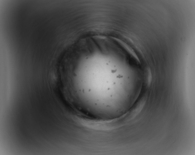 X0000093170040200710101220