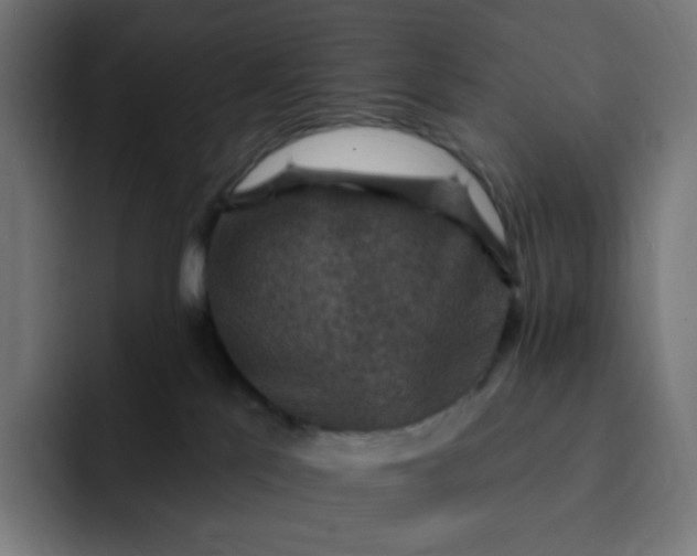 X0000093170041200710101220