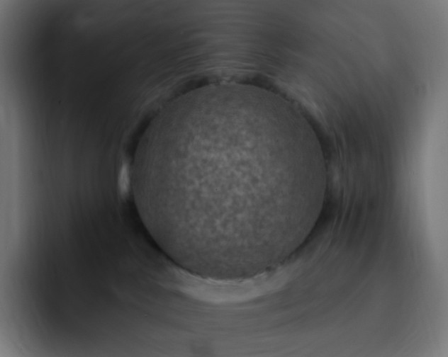 X0000093170042200710101220
