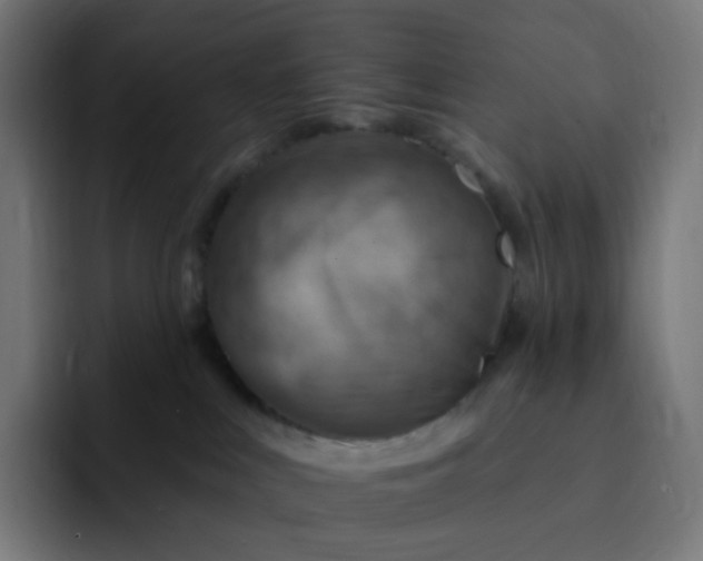 X0000093170043200710101220