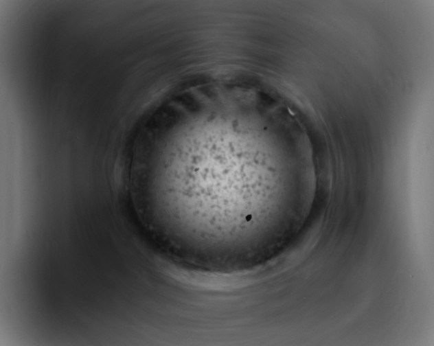 X0000093170044200710101220