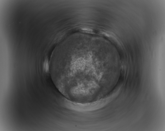 X0000093170046200710101220