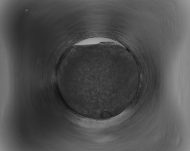 X0000093170048200710101220