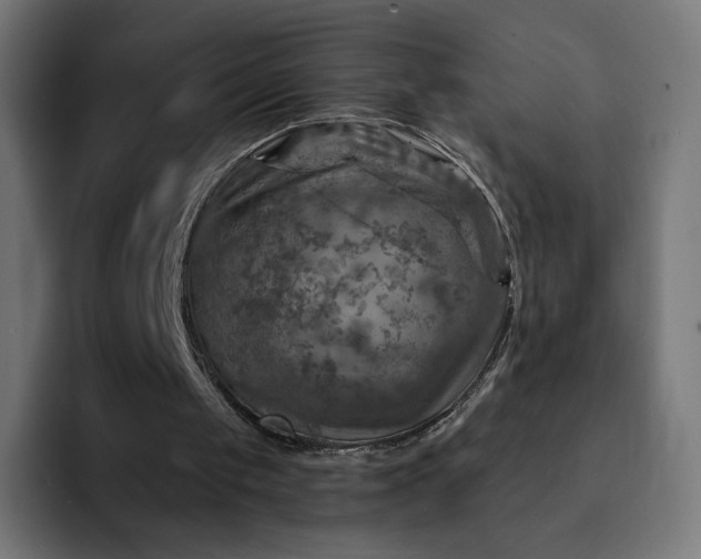 X0000093170049200710101220