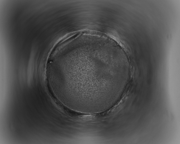 X0000093170050200710101220