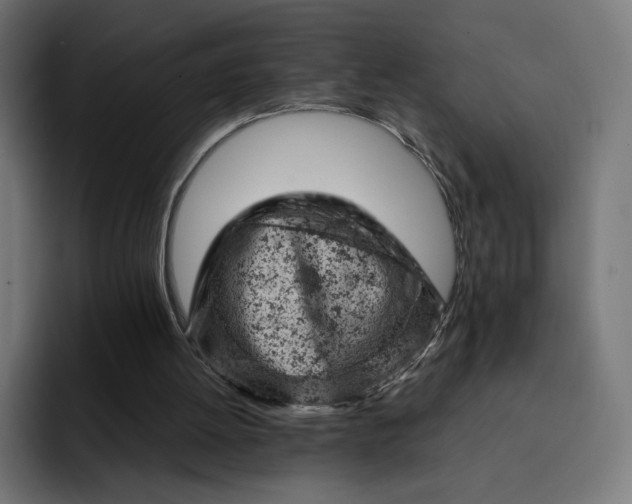 X0000093170052200710101220