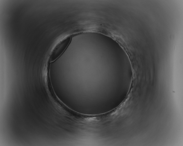 X0000093170054200710101220
