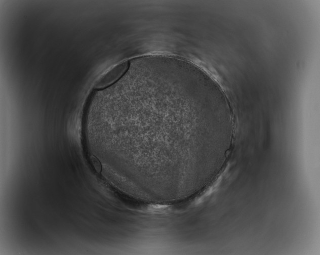 X0000093170055200710101220