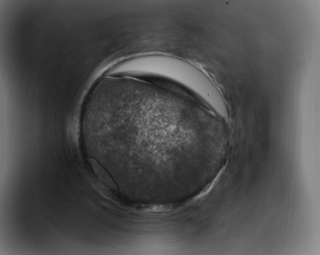 X0000093170056200710101220