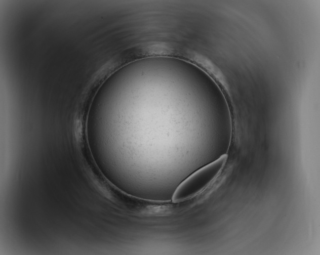 X0000093170057200710101220