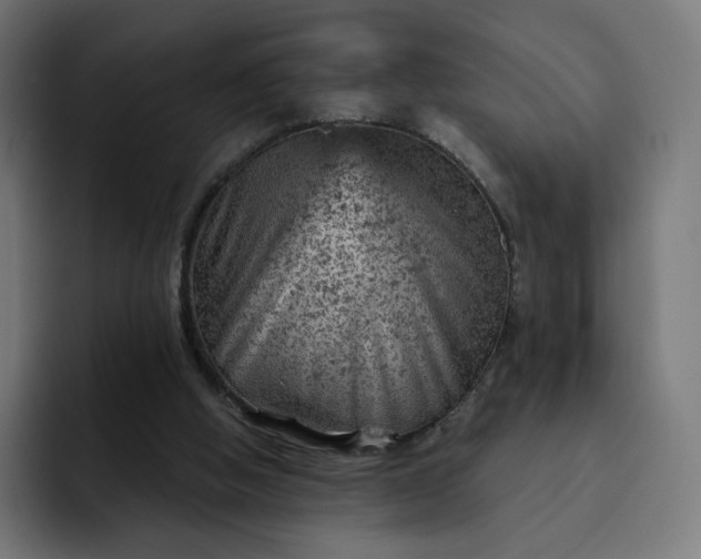 X0000093170058200710101220