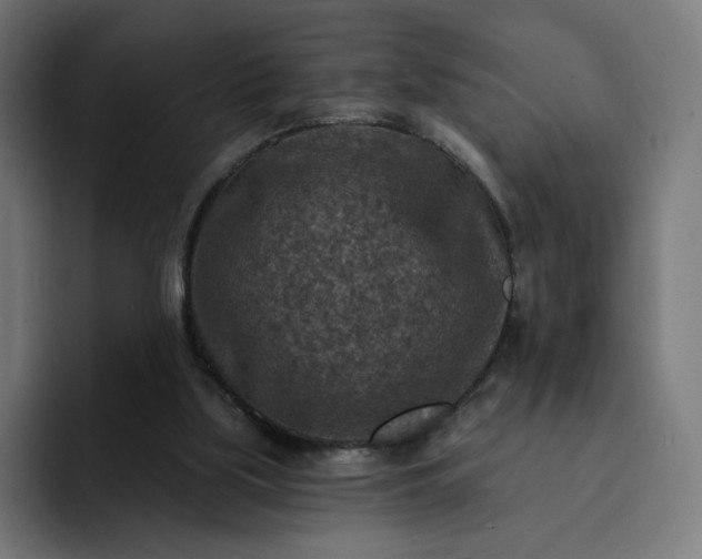 X0000093170059200710101220