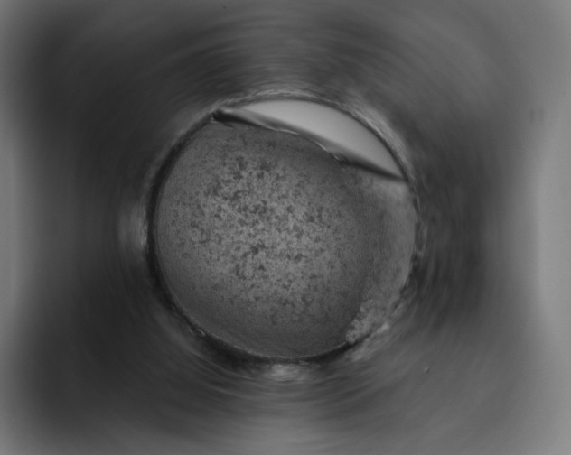 X0000093170060200710101220