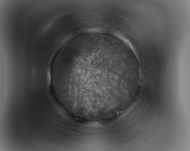 X0000093170061200710101220