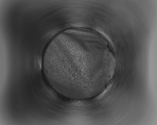 X0000093170062200710101220