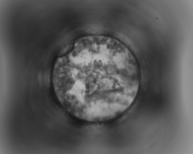 X0000093170065200710101220