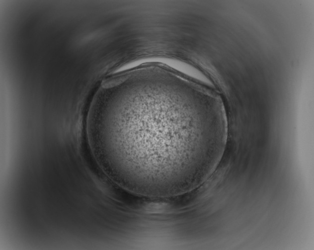 X0000093170066200710101220