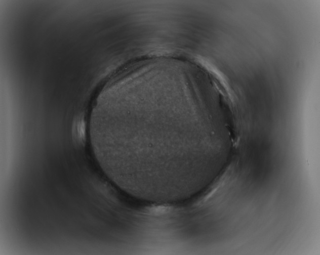 X0000093170067200710101220