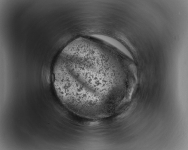 X0000093170068200710101220