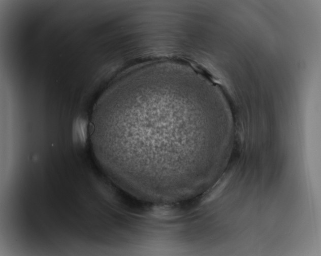 X0000093170070200710101220
