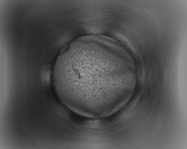X0000093170071200710101220