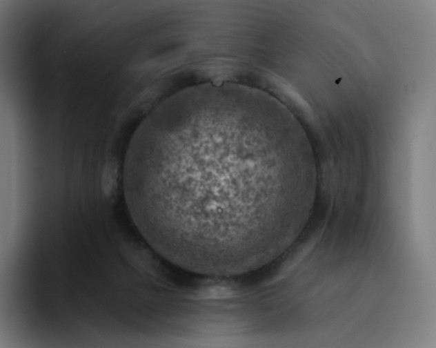 X0000093170073200710101220