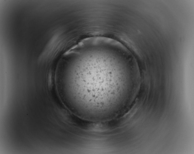 X0000093170074200710101220