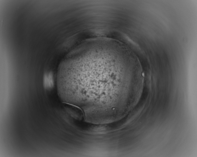 X0000093170075200710101220