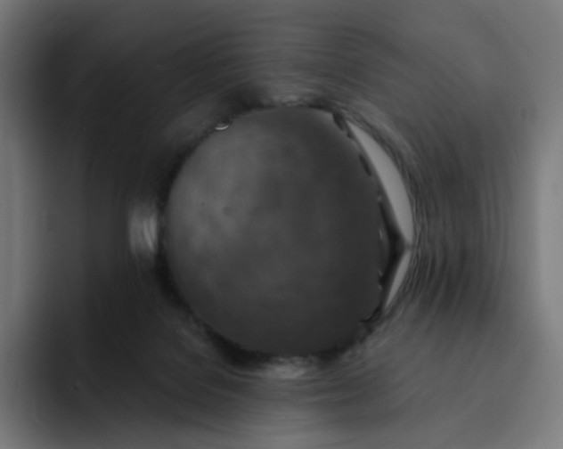 X0000093170076200710101220