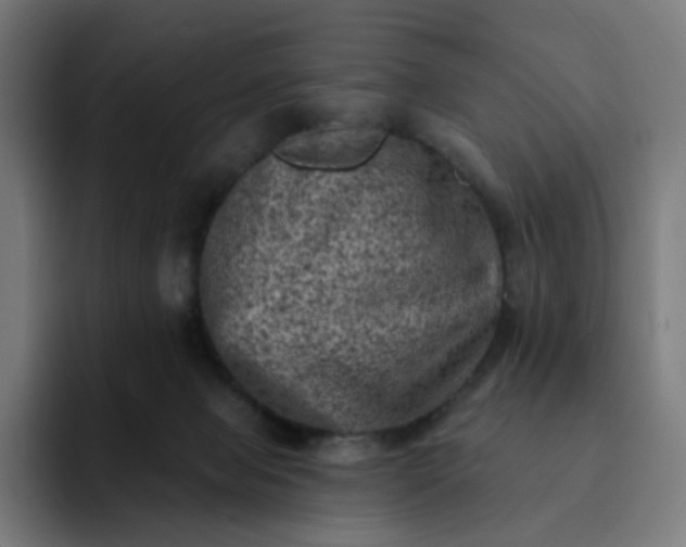 X0000093170077200710101220