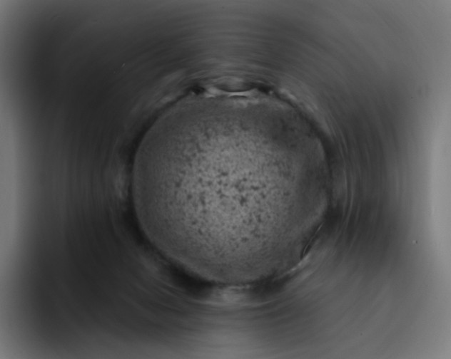 X0000093170078200710101220