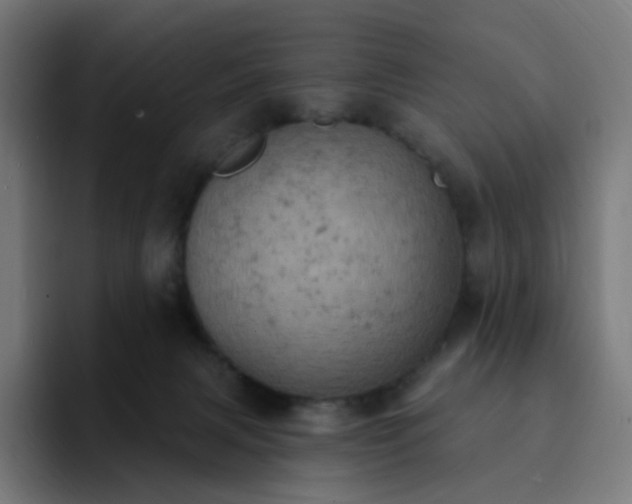 X0000093170079200710101220