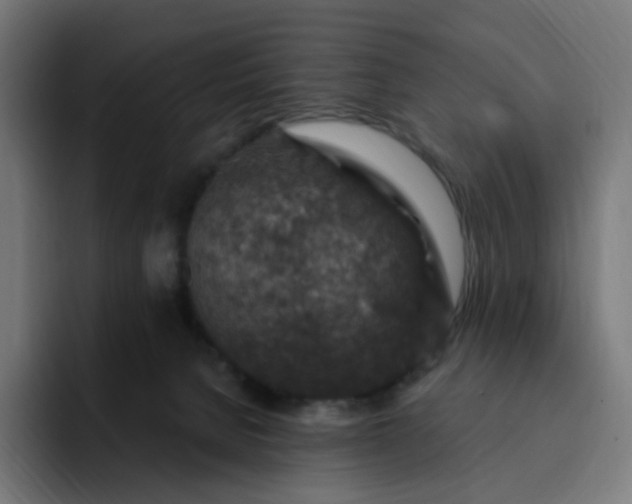 X0000093170080200710101220