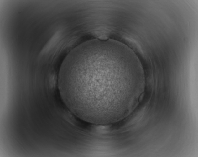 X0000093170081200710101220