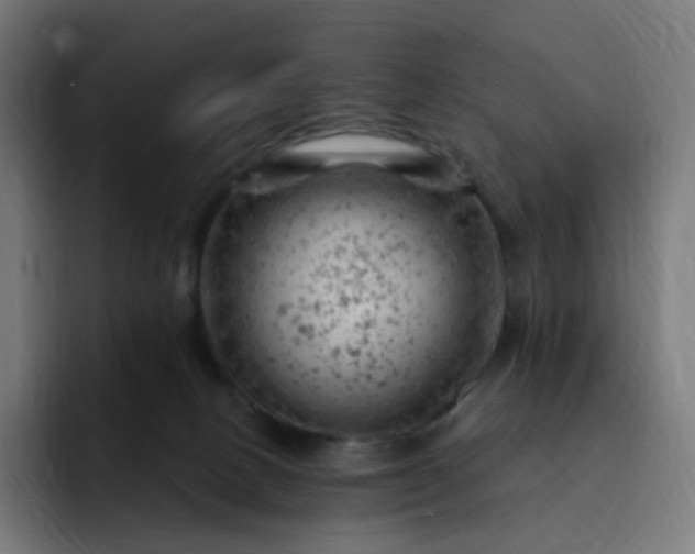 X0000093170082200710101220