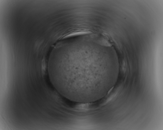 X0000093170084200710101220