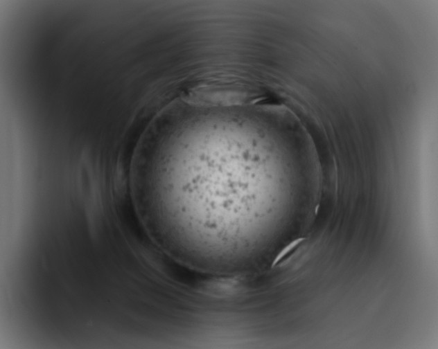 X0000093170086200710101220