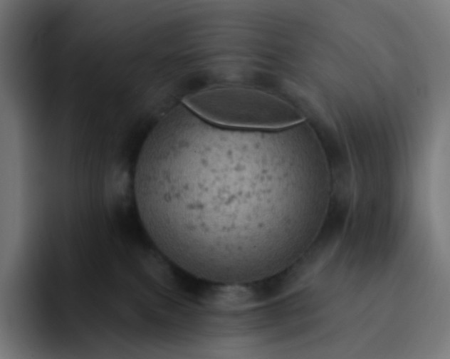 X0000093170087200710101220