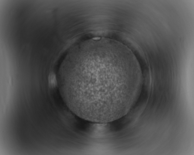 X0000093170089200710101220