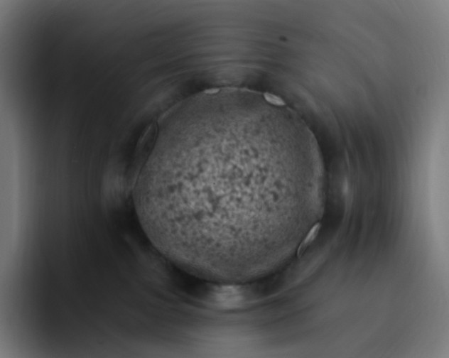 X0000093170091200710101220
