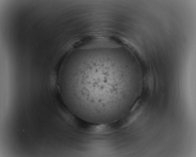 X0000093170092200710101220