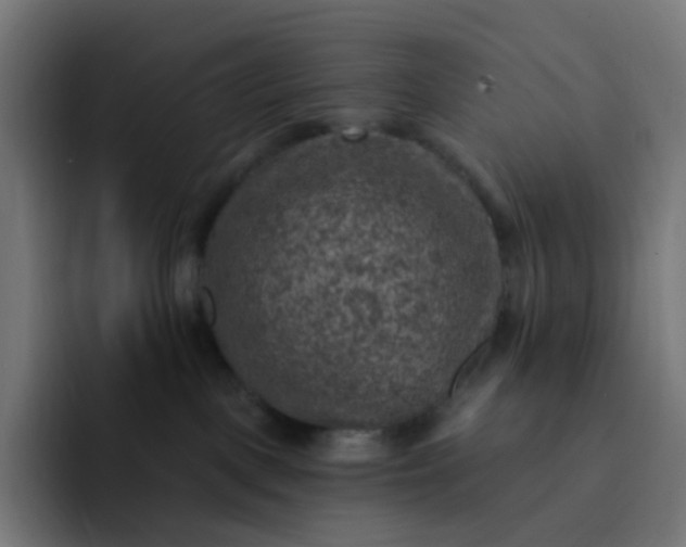 X0000093170093200710101220