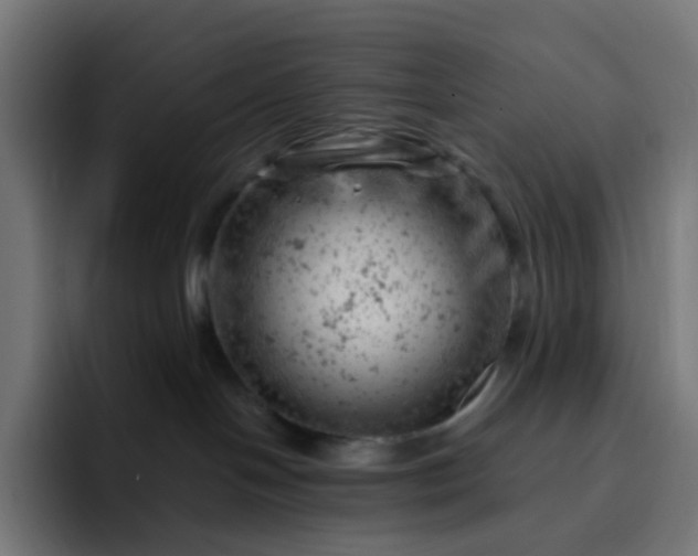 X0000093170094200710101220