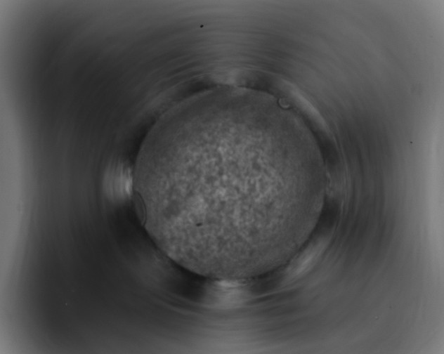 X0000093170095200710101220