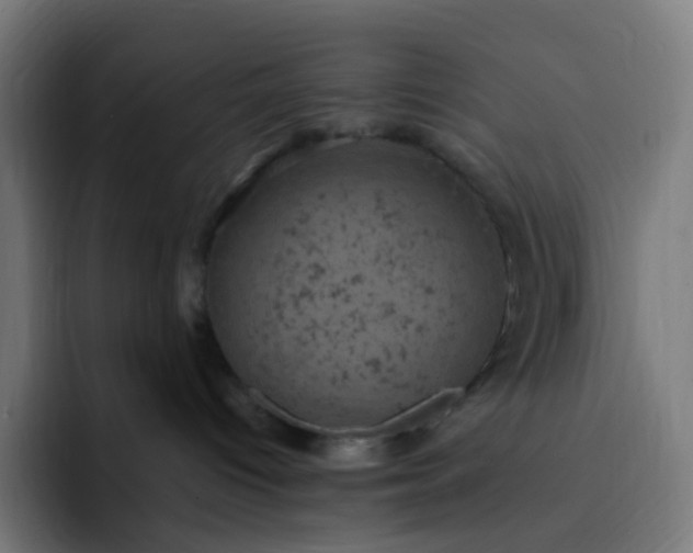 X0000093170096200710101220