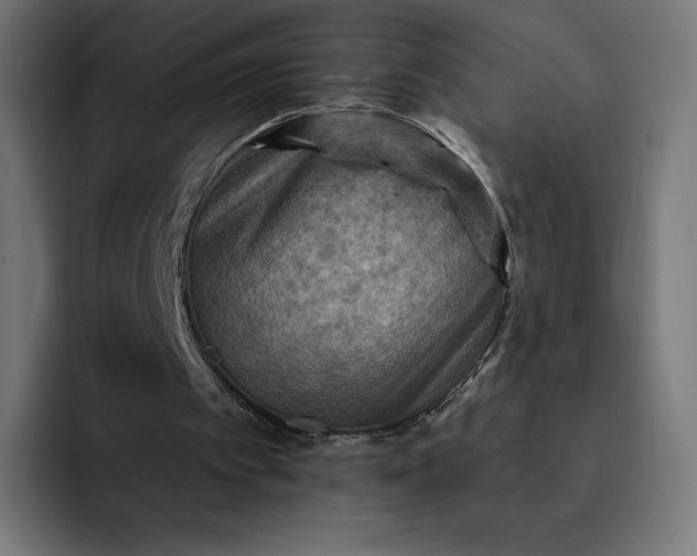X0000093170097200710101220