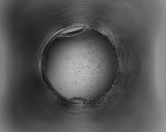 X0000093170098200710101220