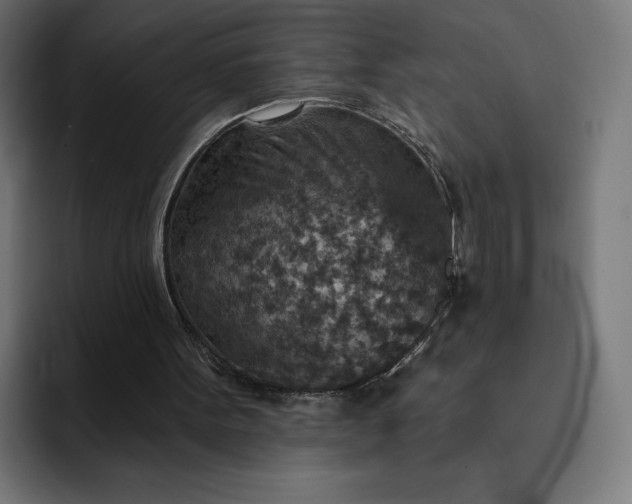 X0000093170099200710101220