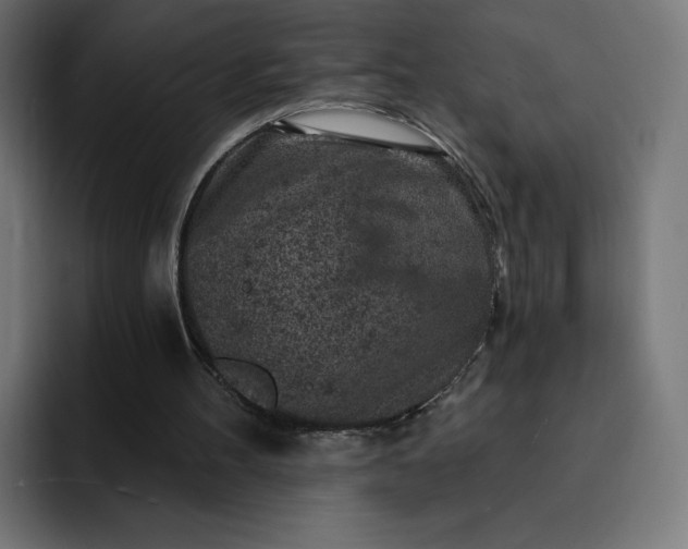 X0000093170100200710101220